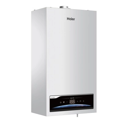 Настенный газовый котел Haier SpaceSlim 2.24 TW фото 2